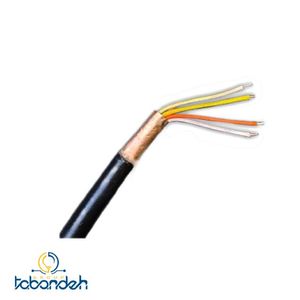 کابل مخابراتی 2 زوج 06 فویلدار CCAM زمینی-PINO